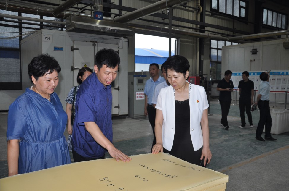 孟津區委副書記、區政府黨組書記馬曉平到科博思調研指導工作